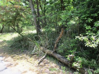 滋賀県甲賀市土山町野上野の売地の画像