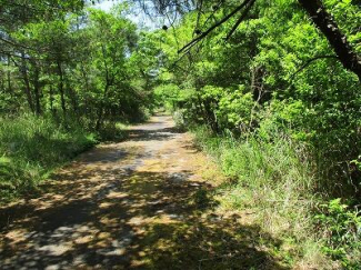 滋賀県甲賀市土山町野上野の売地の画像