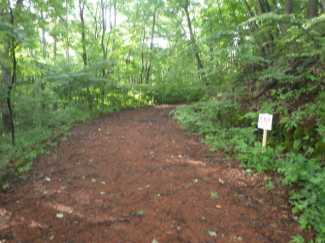 群馬県吾妻郡長野原町大字応桑の売地の画像