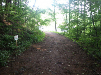 群馬県吾妻郡長野原町大字応桑の売地の画像