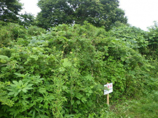 福島県二本松市馬場平の売地の画像