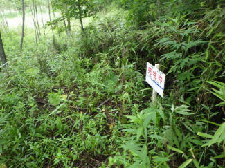 北海道白老郡白老町字竹浦の売地の画像