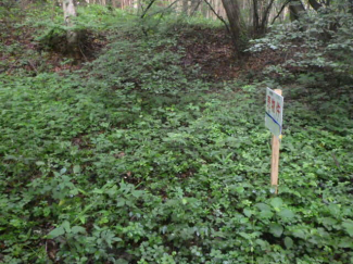 群馬県吾妻郡長野原町大字応桑の売地の画像