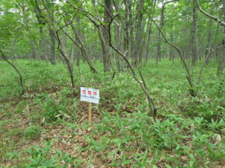 北海道苫小牧市字植苗の売地の画像