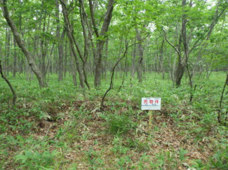 北海道苫小牧市字植苗の売地の画像