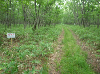 北海道苫小牧市字植苗の売地の画像