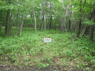 北海道苫小牧市字植苗の売地の画像