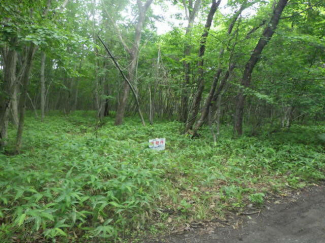 北海道苫小牧市字植苗の売地の画像