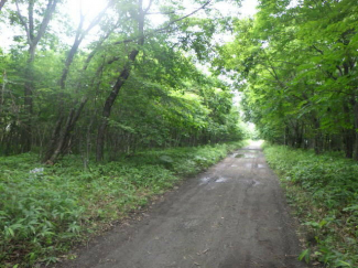 北海道苫小牧市字植苗の売地の画像