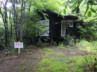 静岡県浜松市天竜区春野町川上の売地の画像