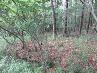 兵庫県多可郡多可町八千代区仕出原の売地の画像