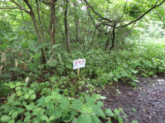 宮城県大崎市鳴子温泉字沼井の売地の画像