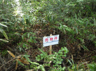 宮城県仙台市青葉区芋沢字吉成山の売地の画像