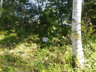 北海道苫小牧市字植苗の売地の画像