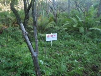 北海道苫小牧市字錦岡の売地の画像