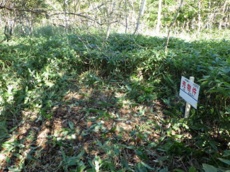 北海道苫小牧市字樽前の売地の画像