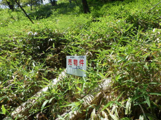 愛知県豊田市黒坂町北畑の売地の画像