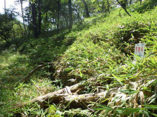 愛知県豊田市黒坂町北畑の売地の画像