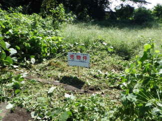 茨城県那珂市豊喰の売地の画像