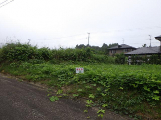 宮城県亘理郡山元町浅生原字下大沢の売地の画像