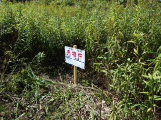 北海道函館市西桔梗町の売地の画像