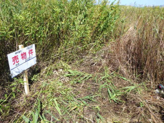 北海道函館市西桔梗町の売地の画像