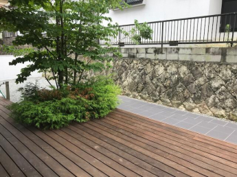 おいくらでしょう？求めるなら・・・の画像