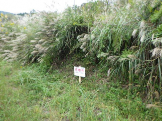 岐阜県中津川市田瀬の売地の画像