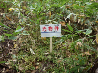 北海道札幌市西区山の手の売地の画像