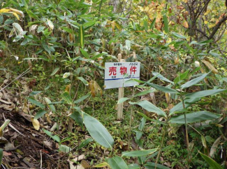 北海道札幌市西区山の手の売地の画像