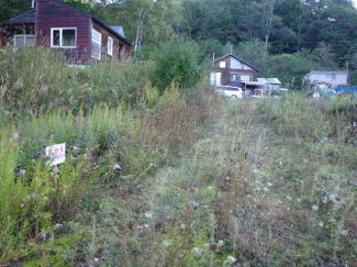 北海道虻田郡洞爺湖町岩屋の売地の画像