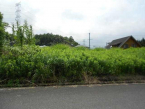 蒲生郡日野町大字小井口の売地の画像