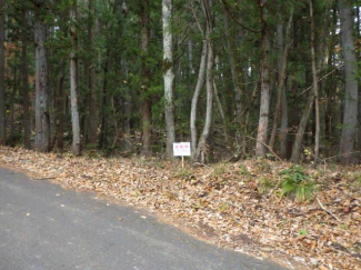 長野県上水内郡飯綱町大字古町の売地の画像