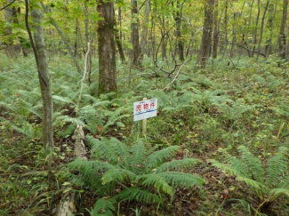 北海道苫小牧市字植苗の売地の画像