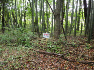 栃木県那須塩原市寺子の売地の画像