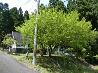 京都府南丹市美山町の画像