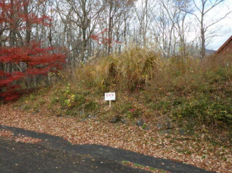 栃木県那須郡那須町大字高久乙の売地の画像