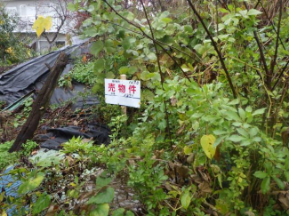 埼玉県坂戸市大字多和目の売地の画像