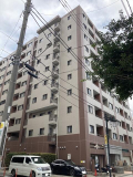 神奈川県横浜市南区高根町４丁目のマンションの画像