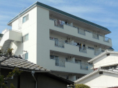松山市美沢２丁目のマンションの画像