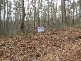 長野県上水内郡飯綱町大字川上の売地の画像