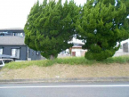 蒲生郡日野町大字小井口の売地の画像