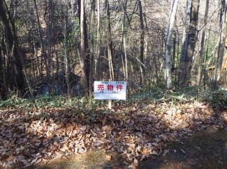 山梨県北杜市白州町白須の売地の画像