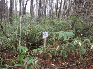 北海道北広島市大曲の売地の画像