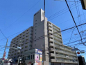 豊津ファミリーの画像