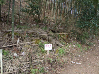 埼玉県飯能市大字大河原の売地の画像