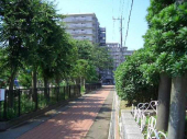 鎌ケ谷市初富のマンションの画像