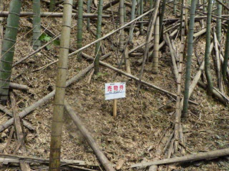 千葉県木更津市草敷の売地の画像