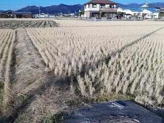 松山市高井町の売地の画像