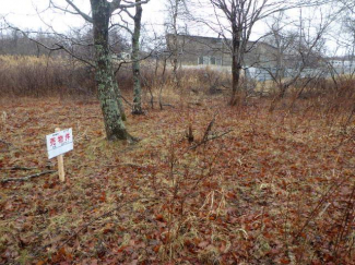 北海道苫小牧市字植苗の売地の画像